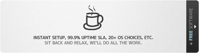Instant setup, 99.9% uptime SLA, 20+ OS choices, etc. Sit Back and Relax, We'll do all the work.